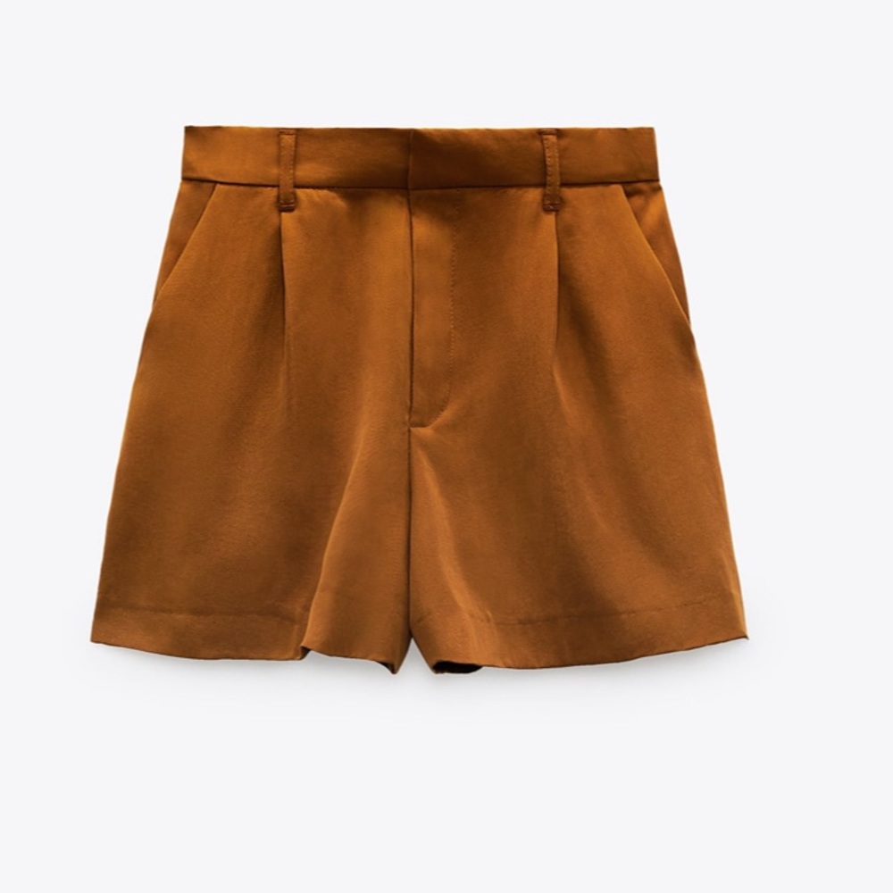 NWT Pleated Shorts— Zara - Picture 4 of 5